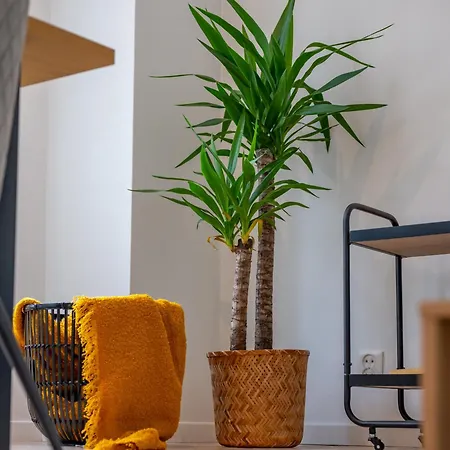 Apartamento Modern Downtown With Great Views