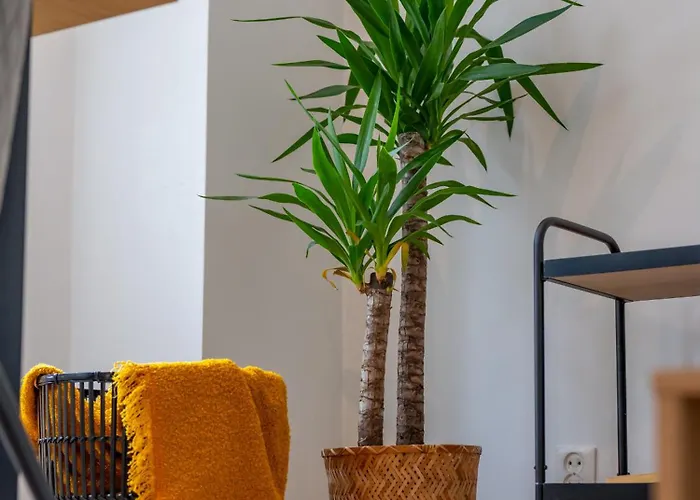 Daire Modern Downtown With Great Views